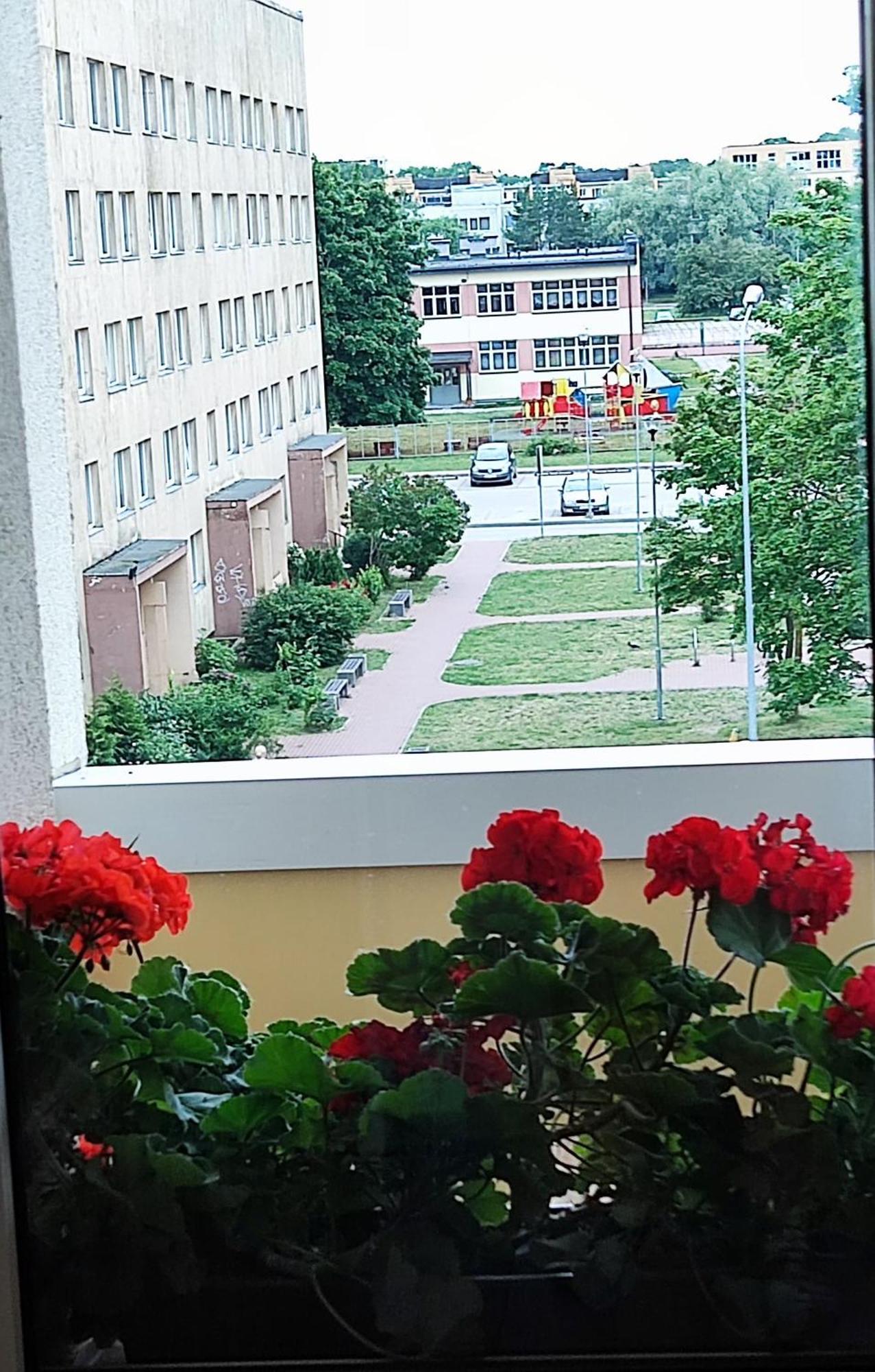 利耶帕亚Dzintari公寓 外观 照片